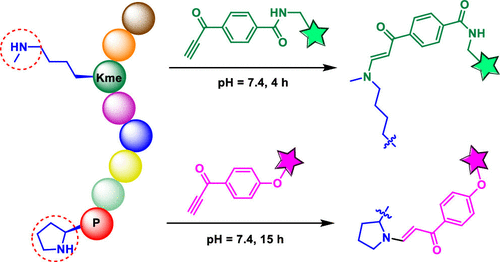 ynone modification abstract.gif