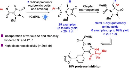 aryl amino acid 2022.gif