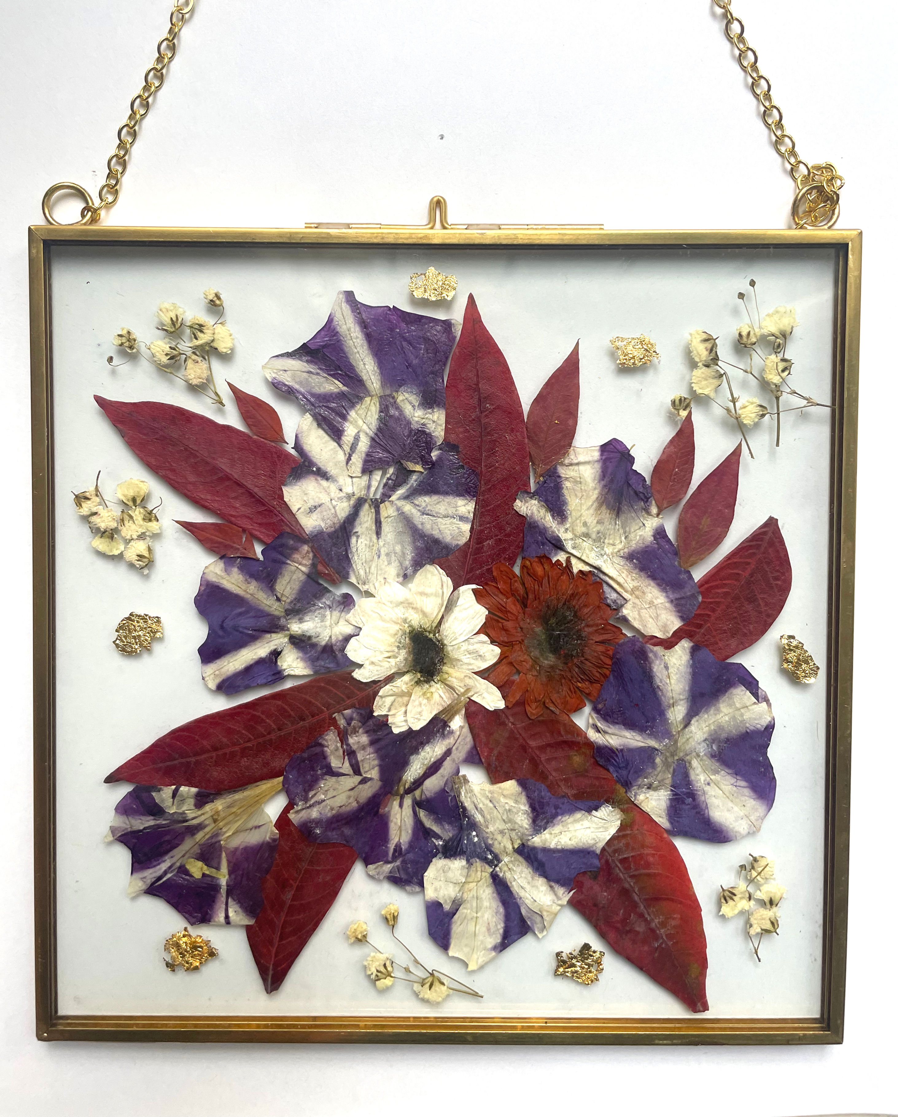 Purple and white Petunia