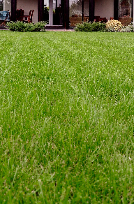 Lawn House Front