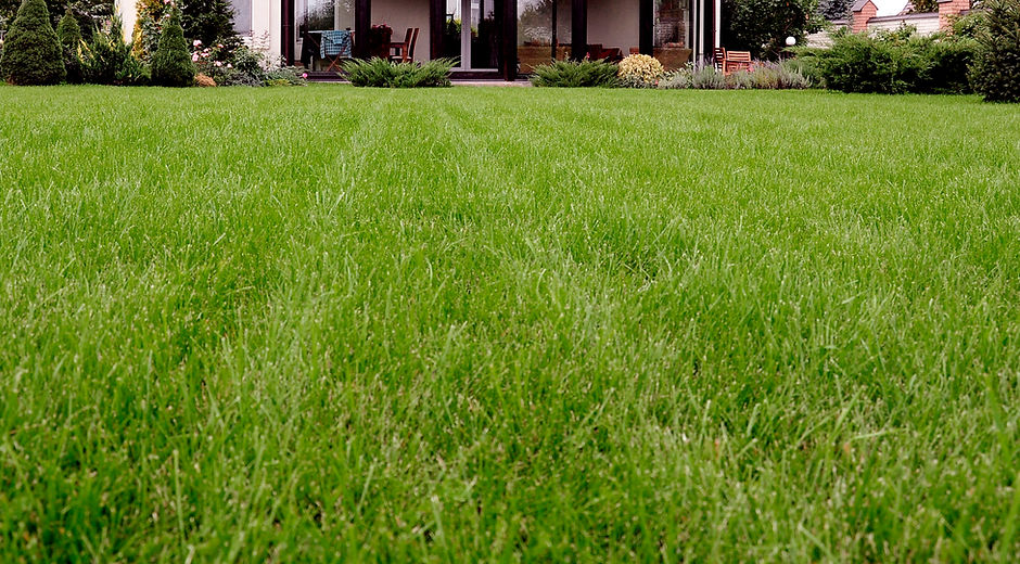 Lawn House Front