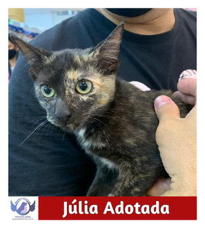 julia-adotada.jpg