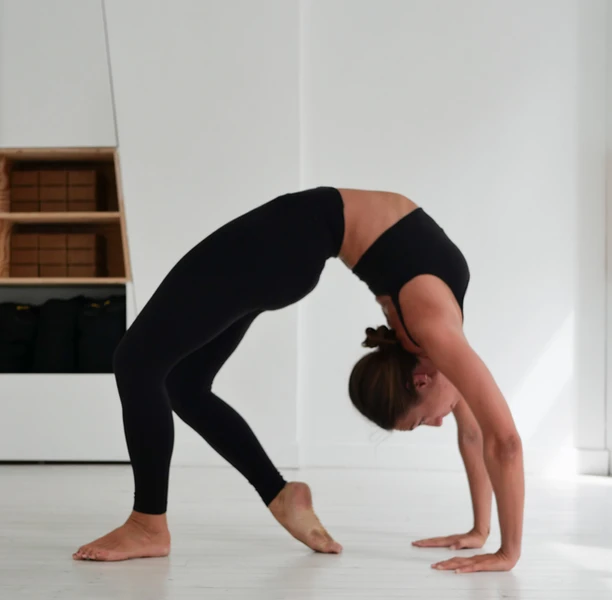 programme yoga en ligne express 5 vidéos de 30mn