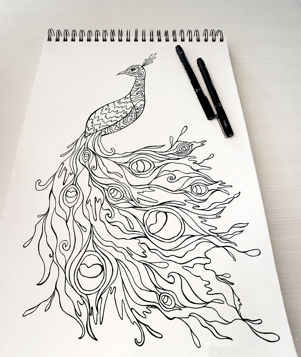 What have I learned from the peacock archetype? 