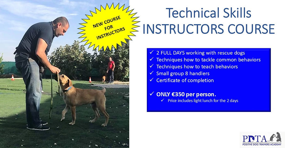 Technical Skills post pdta Revised.jpg