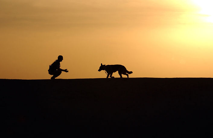 dog-trainer-silhouettes-sunset-38284.jpeg