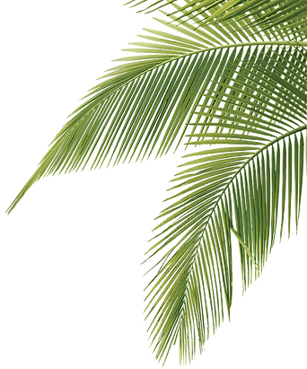 5b09699f689f6a1172ead36caedd9f1d.png