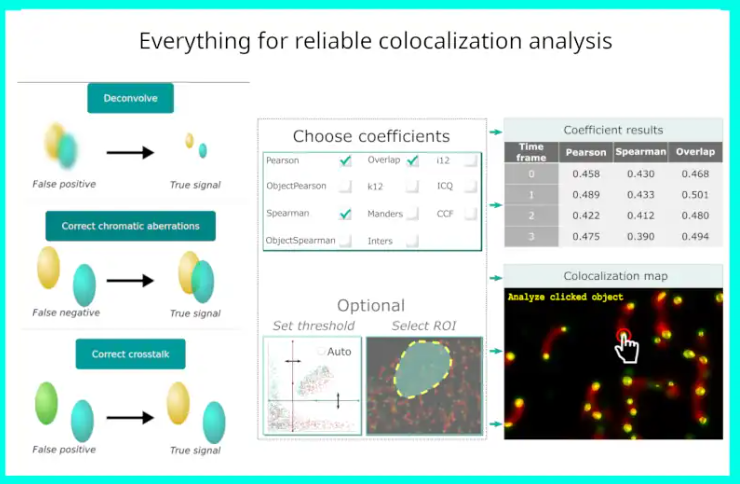 Colocalization Analysis Mastering image quality and Colocalization Analysis | SABI