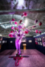 Festival de la BD d'Amiens