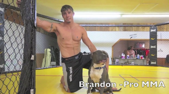 man in ima fighting ring