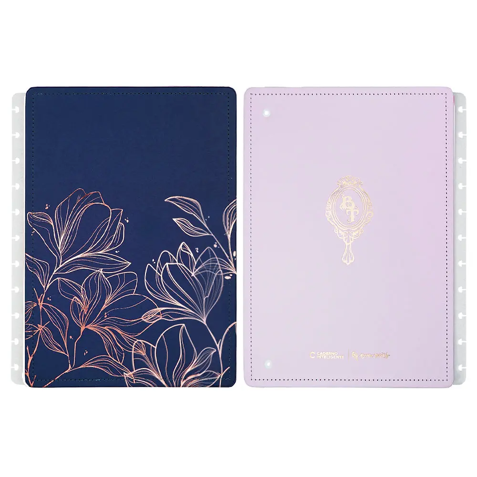 CAPA E CONTRACAPA BT DREAM GRANDE