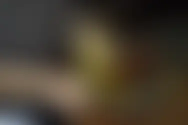 Agência Pernambucana de Vigilância Sanitária investiga e orienta sobre possíveis casos de intoxicação por metanol