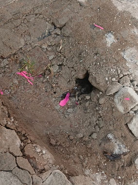 Vazamento persiste há dias no São Geraldo e moradora pede providências