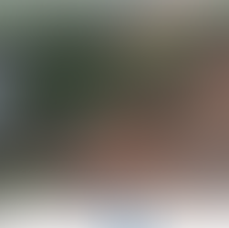 Barreira desliza e mata mãe e filha. Já são 6 mortes ocasionadas pelas chuvas na Região Metropolitana do Recife