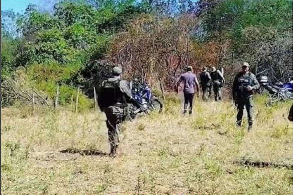 Imagem: Reprodução