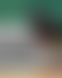 MEC proíbe educação à distância (EAD) em Direito e em outras 4 graduações