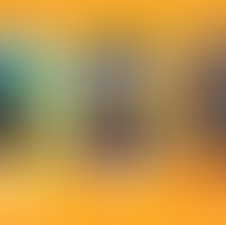 Campeões de judô de Arcoverde levam nome do município para o Brasil