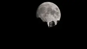 Associacao Astronômica de Arcoverde destaca última Super Lua do ano nesta quinta-feira (04)