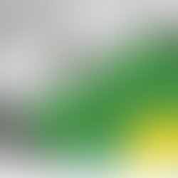 Constituição será traduzida para línguas indígenas mais faladas