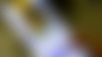 Monteiro: Falsa notificação do gov.br engana professora e acende alerta