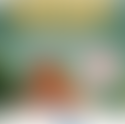 Imagina só: ir a escola ou ir ao trabalho escutando as músicas do espetáculo e lembrar das histórias do menino Chico Catolé?