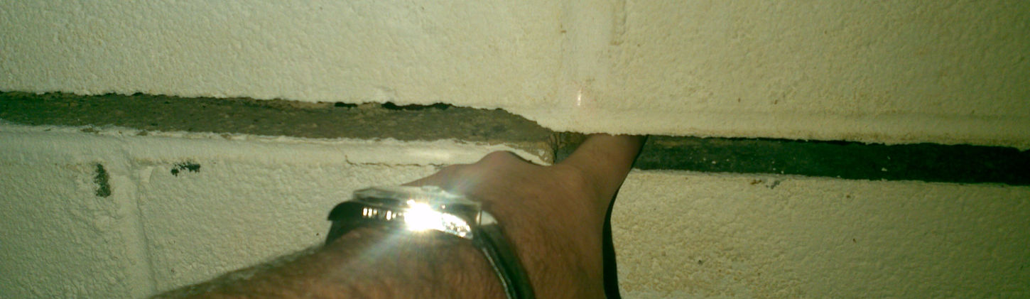 IMG_20110930_093736.jpg