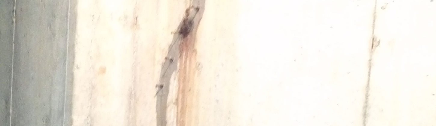 IMG_20130713_101723.jpg