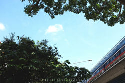 NLB Postcard Project | Singapore