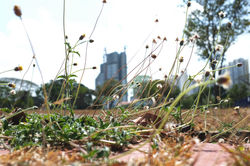 NLB Postcard Project | Singapore