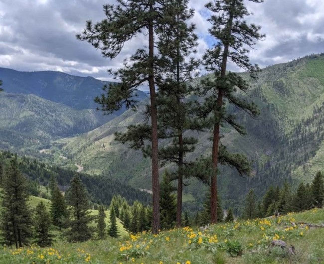 New trails at Fish Creek State Park?