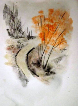 acquerelli dima-09