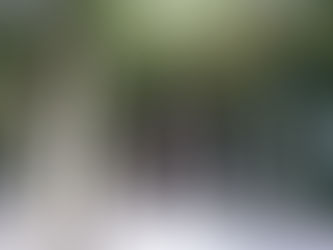 枚岡神社へ行ってきました