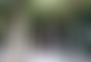 枚岡神社へ行ってきました