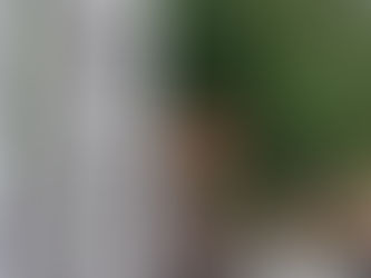 天河大辯財天社