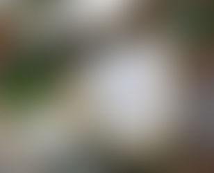 わらびもちドリンク