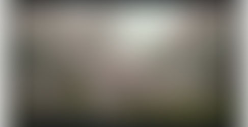 お花見🌸 狭山池公園