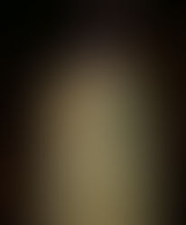 TeaTreeのアロマワックスバー