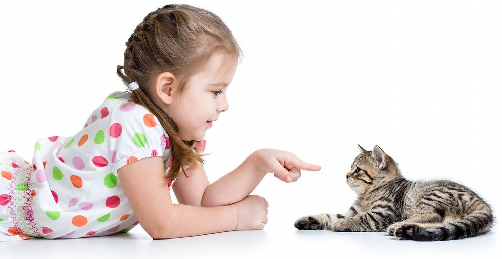 girl pointing on cat