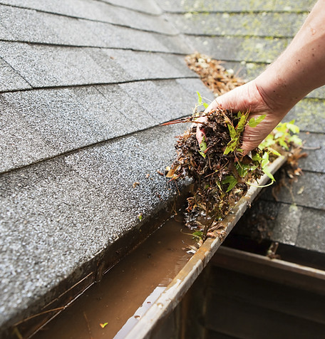 Cleaning a Rain Gutter