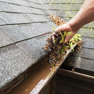 clean gutter