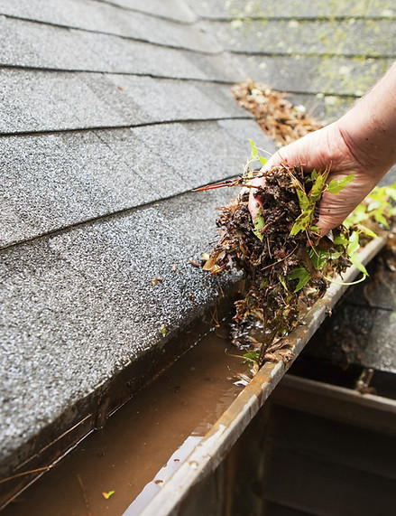Cleaning a Rain Gutter