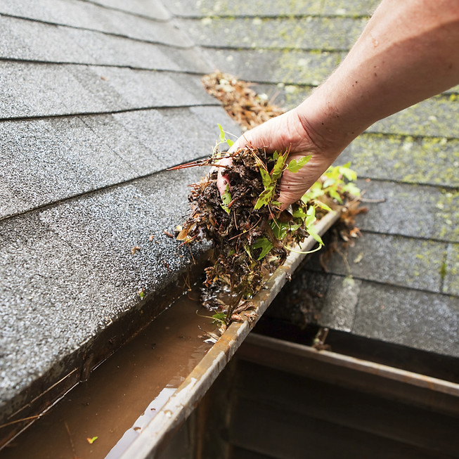 Cleaning a Rain Gutter