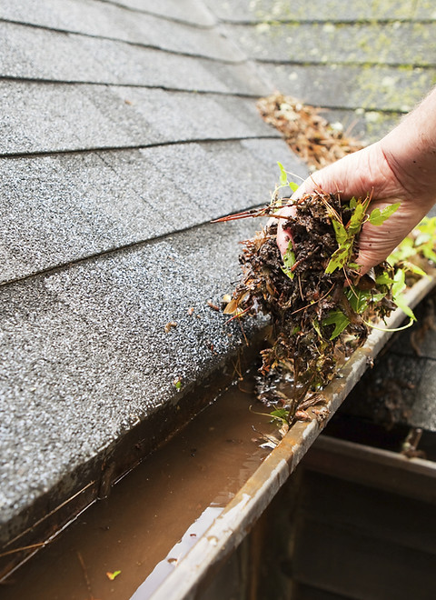 Cleaning a Rain Gutter