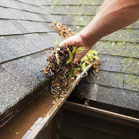 Gutter Installation, Gutter Replacement, Portland, Portland Gutters and Gutter Guards, Gutter Installation Services, gutter downspout solution, gutter downspout drainage, underground gutter drainage, gutter downspout extension, downspout drainage options, downspout drainage ideas, gutter downspout diverter, downspout extension ideas, pop up gutter drain, gutter and roof solutions nw reviews, gutter and roof solutions nw Vancouver wa, gutter solutions nw vancouver wa gutter solutions nw reviews, gutters,gutter solutions Portland, gutter replacement portland gutter and roofing solutions, nw gutters Hillsboro, nw gutters Sherwood, gutter installation Portland, seamless gutters Portland, portland residential gutters, gutters Beaverton, great northwest gutters, sherwood or gutter cleaning, nw gutters Hillsboro, nw gutters sherwood gutter installation Portland, seamless gutters Portland, portland residential gutters, gutters Beaverton, gutter cleaning