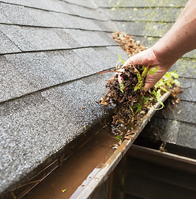Cleaning a Rain Gutter
