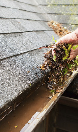 Cleaning a Rain Gutter