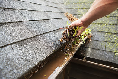 Cleaning Roof Gutter