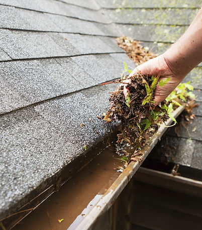 Cleaning a Rain Gutter