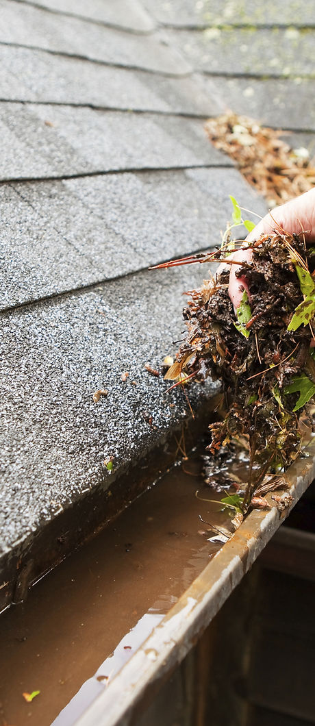 Cleaning a Rain Gutter