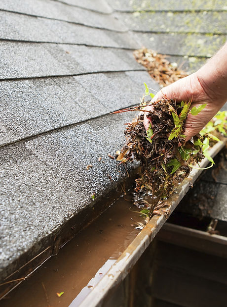 Cleaning a Rain Gutter